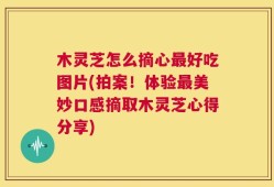 木灵芝怎么摘心最好吃图片(拍案！体验最美妙口感摘取木灵芝心得分享)