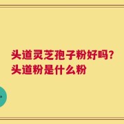 头道灵芝孢子粉好吗？头道粉是什么粉