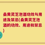 桑黄灵芝泡酒功效与用途及禁忌(桑黄灵芝泡酒的功效、用途和禁忌)