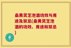 桑黄灵芝泡酒功效与用途及禁忌(桑黄灵芝泡酒的功效、用途和禁忌)