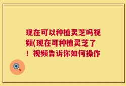 现在可以种植灵芝吗视频(现在可种植灵芝了！视频告诉你如何操作