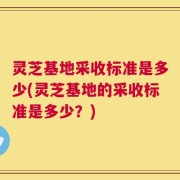 灵芝基地采收标准是多少(灵芝基地的采收标准是多少？)