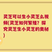 灵芝可以生小灵芝么视频(灵芝如何繁殖？探究灵芝生小灵芝的奥秘)