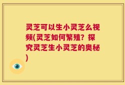 灵芝可以生小灵芝么视频(灵芝如何繁殖？探究灵芝生小灵芝的奥秘)