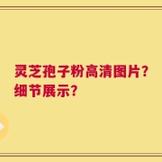 灵芝孢子粉高清图片？细节展示？