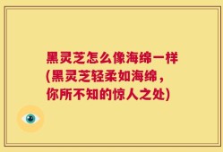 黑灵芝怎么像海绵一样(黑灵芝轻柔如海绵，你所不知的惊人之处)