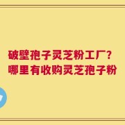 破壁孢子灵芝粉工厂？哪里有收购灵芝孢子粉