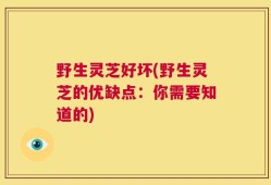 野生灵芝好坏(野生灵芝的优缺点：你需要知道的)