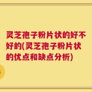 灵芝孢子粉片状的好不好的(灵芝孢子粉片状的优点和缺点分析)