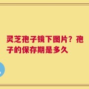 灵芝孢子镜下图片？孢子的保存期是多久