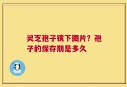 灵芝孢子镜下图片？孢子的保存期是多久