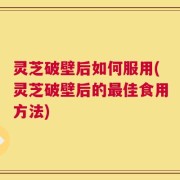 灵芝破壁后如何服用(灵芝破壁后的最佳食用方法)
