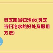 灵芝跟当归泡水(灵芝当归泡水的好处及服用方法)