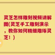 灵芝怎样雕刻视频讲解图(灵芝手工雕刻演示，教你如何精细雕琢灵芝！)