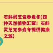 石斛灵芝党参麦冬(四种天然植物汇聚！石斛灵芝党参麦冬提供健康之源)