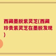 西藏墨脱紫灵芝(西藏珍贵紫灵芝在墨脱发现)