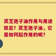 灵芝孢子油作用与用途禁忌？灵芝孢子油，它是如何起作用的呢？