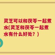 灵芝可以和茯苓一起煮水(灵芝和茯苓一起煮水有什么好处？)