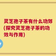 灵芝孢子茶有什么功郊(探究灵芝孢子茶的功效与作用)