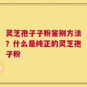 灵芝孢子子粉鉴别方法？什么是纯正的灵芝孢子粉