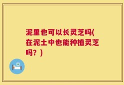 泥里也可以长灵芝吗(在泥土中也能种植灵芝吗？)