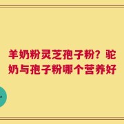 羊奶粉灵芝孢子粉？驼奶与孢子粉哪个营养好