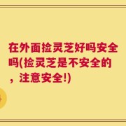 在外面捡灵芝好吗安全吗(捡灵芝是不安全的，注意安全!)