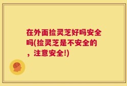 在外面捡灵芝好吗安全吗(捡灵芝是不安全的，注意安全!)