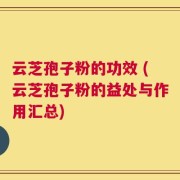 云芝孢子粉的功效 (云芝孢子粉的益处与作用汇总)