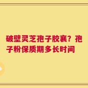 破壁灵芝孢子胶襄？孢子粉保质期多长时间