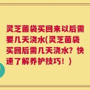 灵芝菌袋买回来以后需要几天浇水(灵芝菌袋买回后需几天浇水？快速了解养护技巧！)