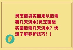 灵芝菌袋买回来以后需要几天浇水(灵芝菌袋买回后需几天浇水？快速了解养护技巧！)