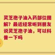 灵芝孢子油入药部位图解？最近经常听到朋友说灵芝孢子油，可以科普一下吗