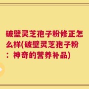 破壁灵芝孢子粉修正怎么样(破壁灵芝孢子粉：神奇的营养补品)
