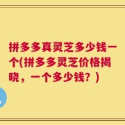 拼多多真灵芝多少钱一个(拼多多灵芝价格揭晓，一个多少钱？)