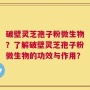 破壁灵芝孢子粉微生物？了解破壁灵芝孢子粉微生物的功效与作用？