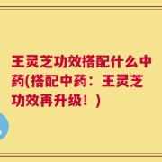 王灵芝功效搭配什么中药(搭配中药：王灵芝功效再升级！)