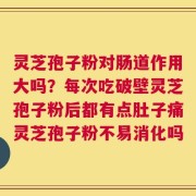灵芝孢子粉对肠道作用大吗？每次吃破壁灵芝孢子粉后都有点肚子痛灵芝孢子粉不易消化吗