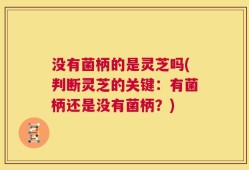没有菌柄的是灵芝吗(判断灵芝的关键：有菌柄还是没有菌柄？)
