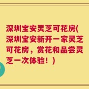 深圳宝安灵芝可花房(深圳宝安新开一家灵芝可花房，赏花和品尝灵芝一次体验！)