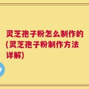 灵芝孢子粉怎么制作的(灵芝孢子粉制作方法详解)