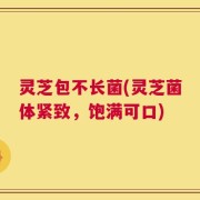 灵芝包不长菌(灵芝菌体紧致，饱满可口)