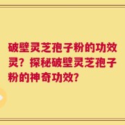 破壁灵芝孢子粉的功效灵？探秘破壁灵芝孢子粉的神奇功效？