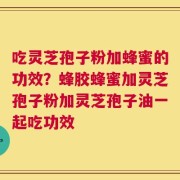 吃灵芝孢子粉加蜂蜜的功效？蜂胶蜂蜜加灵芝孢子粉加灵芝孢子油一起吃功效