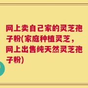 网上卖自己家的灵芝孢子粉(家庭种植灵芝，网上出售纯天然灵芝孢子粉)