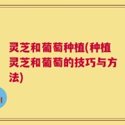 灵芝和葡萄种植(种植灵芝和葡萄的技巧与方法)