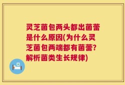 灵芝菌包两头都出菌蕾是什么原因(为什么灵芝菌包两端都有菌蕾？解析菌类生长规律)