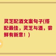 灵芝配酒文案句子(搭配最佳，灵芝与酒，尝鲜有新意！)
