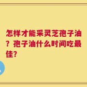 怎样才能采灵芝孢子油？孢子油什么时间吃最佳？