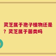 灵芝属于孢子植物还是？灵芝属于菌类吗